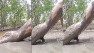 Image of Man addicted to mud indulges in dirty fun-Linkdebhai.club